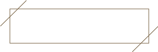 Expertise vita Janine